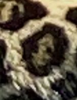 Auge 3.jpeg