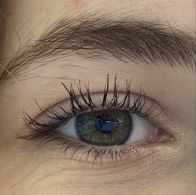 Auge 1.jpg