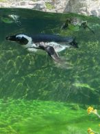 Wasser 2.jpg